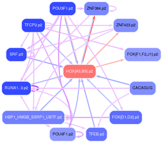 PNG image of the network